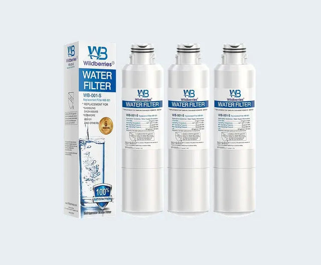 WB-001